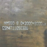 NM550(1)
